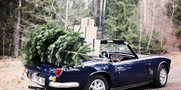 Fair Trees – Weihnachtsbäume aus fairer Aufzucht von toom