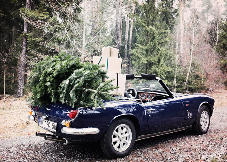 Fair Trees – Weihnachtsbäume aus fairer Aufzucht von toom