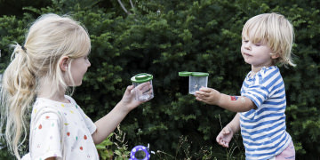 Geschützt: Zeit draußen verbringen – bei uns mit FSME-Impfung